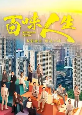 雾港回声 全集免费观看